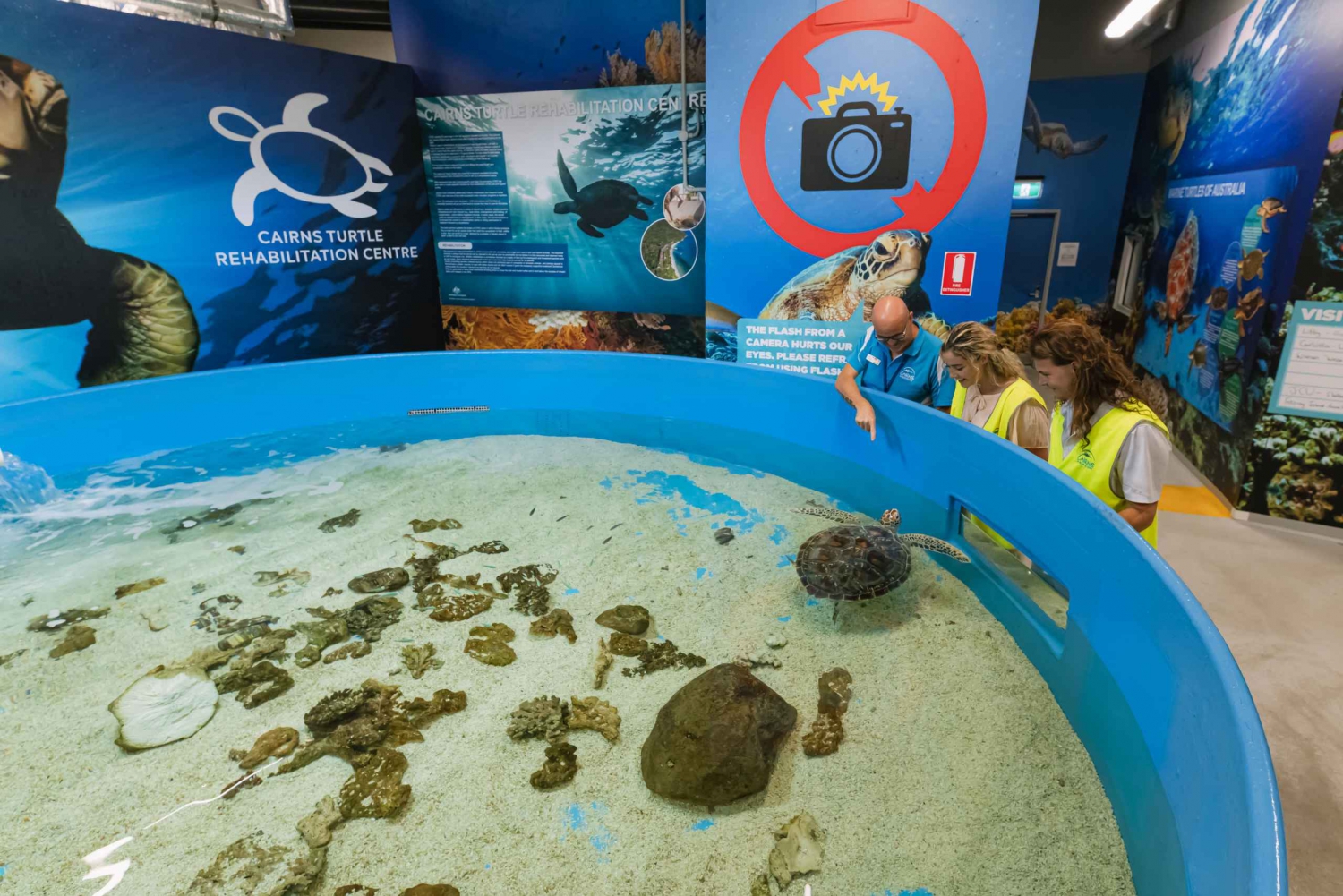 Cairns: Aquarium Entry Ticket and Turtle Rehabilitation Tour