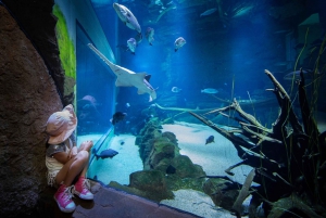 Cairns Aquarium General Admission Ticket