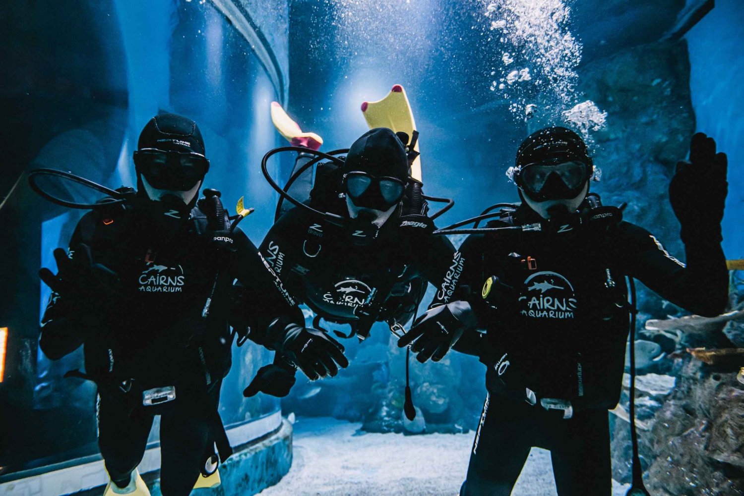 Cairns: Aquarium Reef Tank Diving Experience