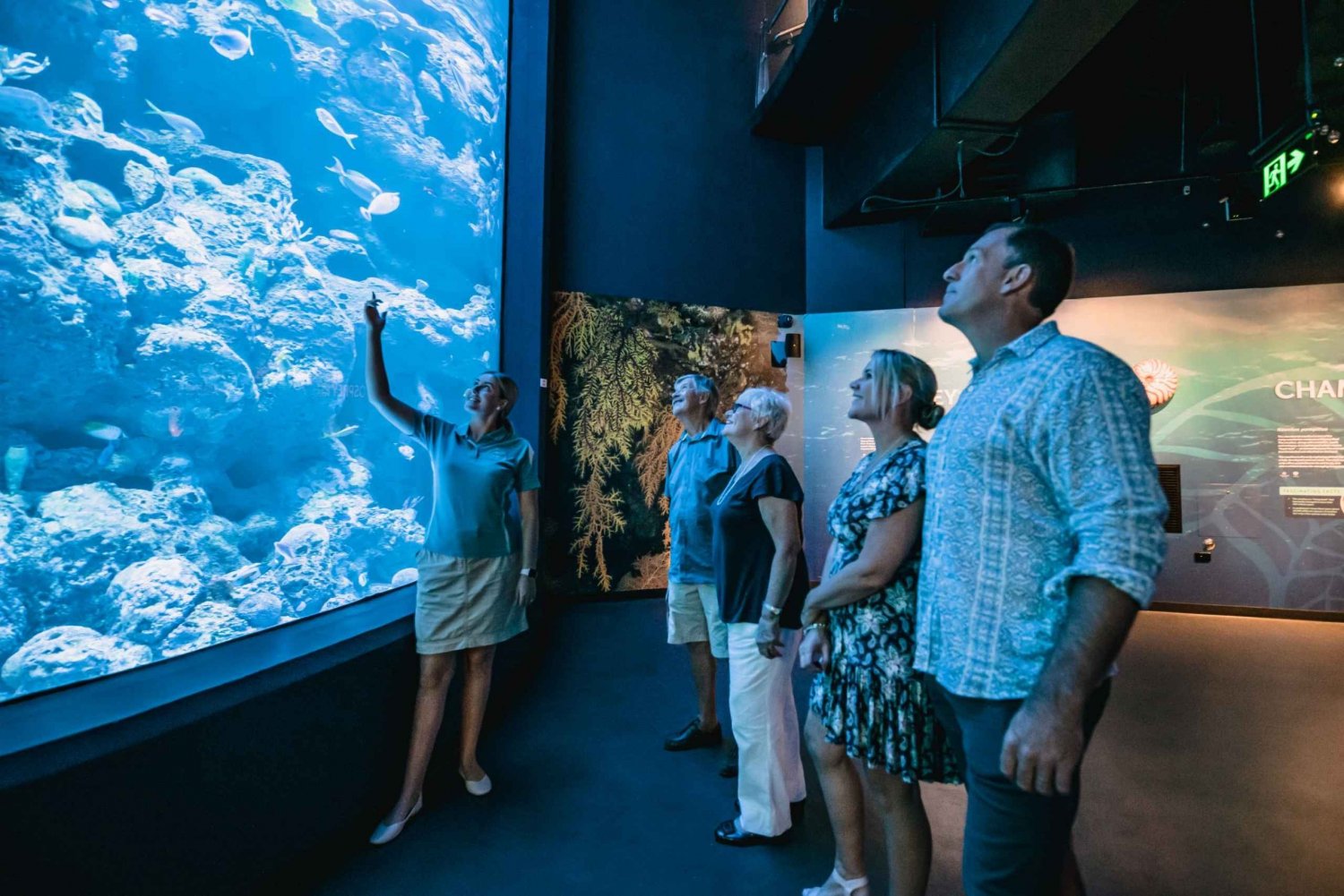 Cairns Aquarium: Twilight Ancient Oceans Tour with Dinner