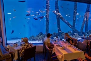 Cairns: Aquarium Visit and City Sightseeing Tour with Lunch