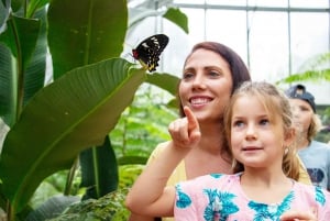 Cairns: Australian Butterfly Sanctuary