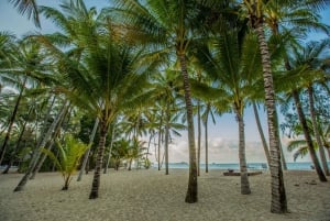 Cairns : Tour des plages à vélo - Palm Cove