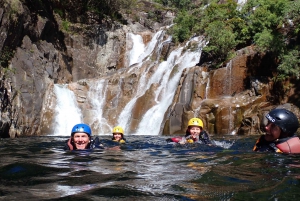 Cairns: Waterfalls Rainforest Experience