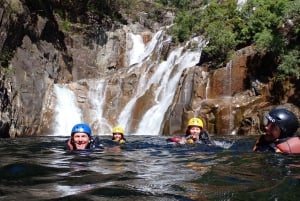 Cairns: Waterfalls Rainforest Experience