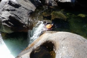 Cairns: Half Day Behana Canyon Experience