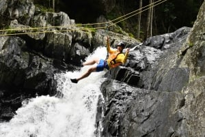 Cairns: Waterfalls Rainforest Experience