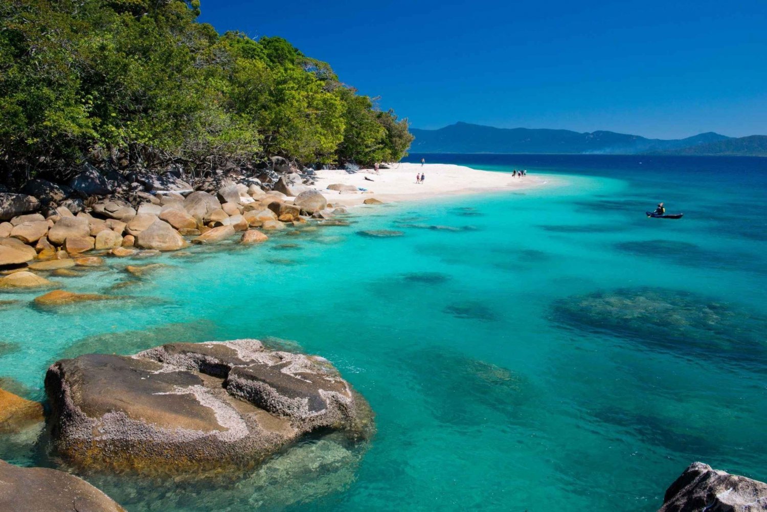 Cairns: Best of Fitzroy Island Ferry, Lunch, Snorkel & Tour