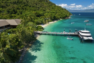 Cairns: Det bedste af Fitzroy Island Færge, frokost, snorkling og tur