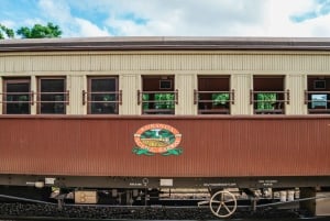 Cairns: Lo Mejor de la Selva Tropical de Kuranda Tour de día completo y almuerzo