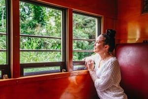 Cairns: Lo Mejor de la Selva Tropical de Kuranda Tour de día completo y almuerzo