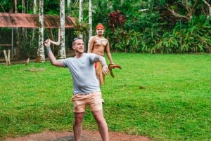 Cairns: Lo Mejor de la Selva Tropical de Kuranda Tour de día completo y almuerzo