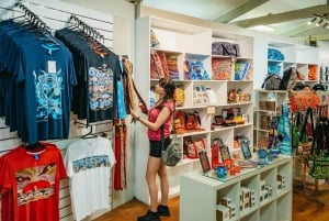 Cairns: Lo Mejor de la Selva Tropical de Kuranda Tour de día completo y almuerzo