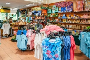 Cairns: Lo Mejor de la Selva Tropical de Kuranda Tour de día completo y almuerzo