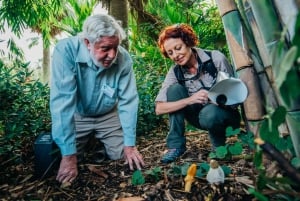 Giardini botanici di Cairns: Tour fotografico sui funghi