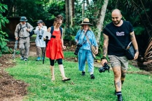 Botanische tuinen van Cairns: Paddenstoelen Fotografie Tour