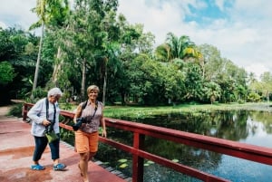 Cairns botaniska trädgård: Svampfotograferingstur
