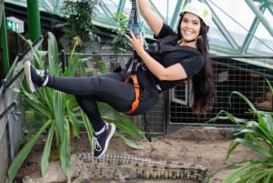 Cairns: Cairns ZOOM and Wildlife Dome