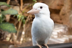 Cairns: Cairns ZOOM and Wildlife Dome