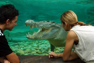 Cairns: Cairns ZOOM and Wildlife Dome