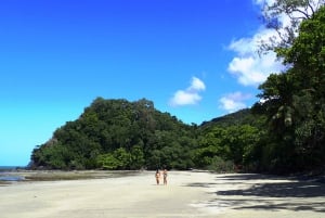 Cairns: Excursión de un día a Cape Tribulation, playas, cocodrilos y natación
