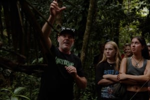 Cairns: Cape Tribulation, Beaches, Crocs & Swimming Day Tour