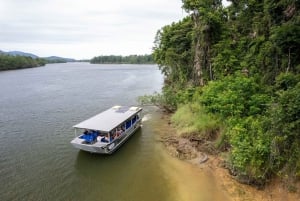 Cairns: Cape Tribulation, Beaches, Crocs & Swimming Day Tour