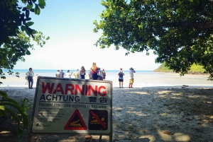 Кэрнс: премиум-тур к мысу Трибулейшн и в тропический лес Дейнтри