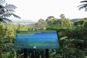 Кэрнс: премиум-тур к мысу Трибулейшн и в тропический лес Дейнтри