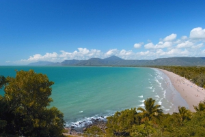 Кэрнс: премиум-тур к мысу Трибулейшн и в тропический лес Дейнтри