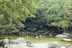 Cairns: Cape Tribulation, Mossman Gorge & Daintree Day Tour