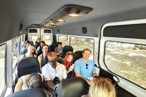 Cairns: Cape Tribulation, Mossman Gorge & Daintree Day Tour