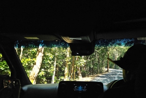 Cairns: Cape Tribulation, Mossman Gorge & Daintree Day Tour