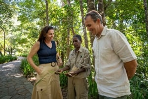 Cairns: Cattana Wetlands, Barron Falls e Kuranda Railway