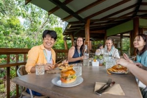 Cairns: Cattana Wetlands, Barron Falls e Kuranda Railway