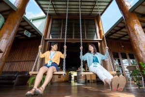 Cairns: Cattana Wetlands, Barron Falls e Kuranda Railway