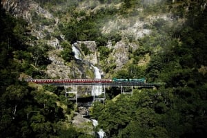 Cairns: Cattana Wetlands, Barron Falls e Kuranda Railway