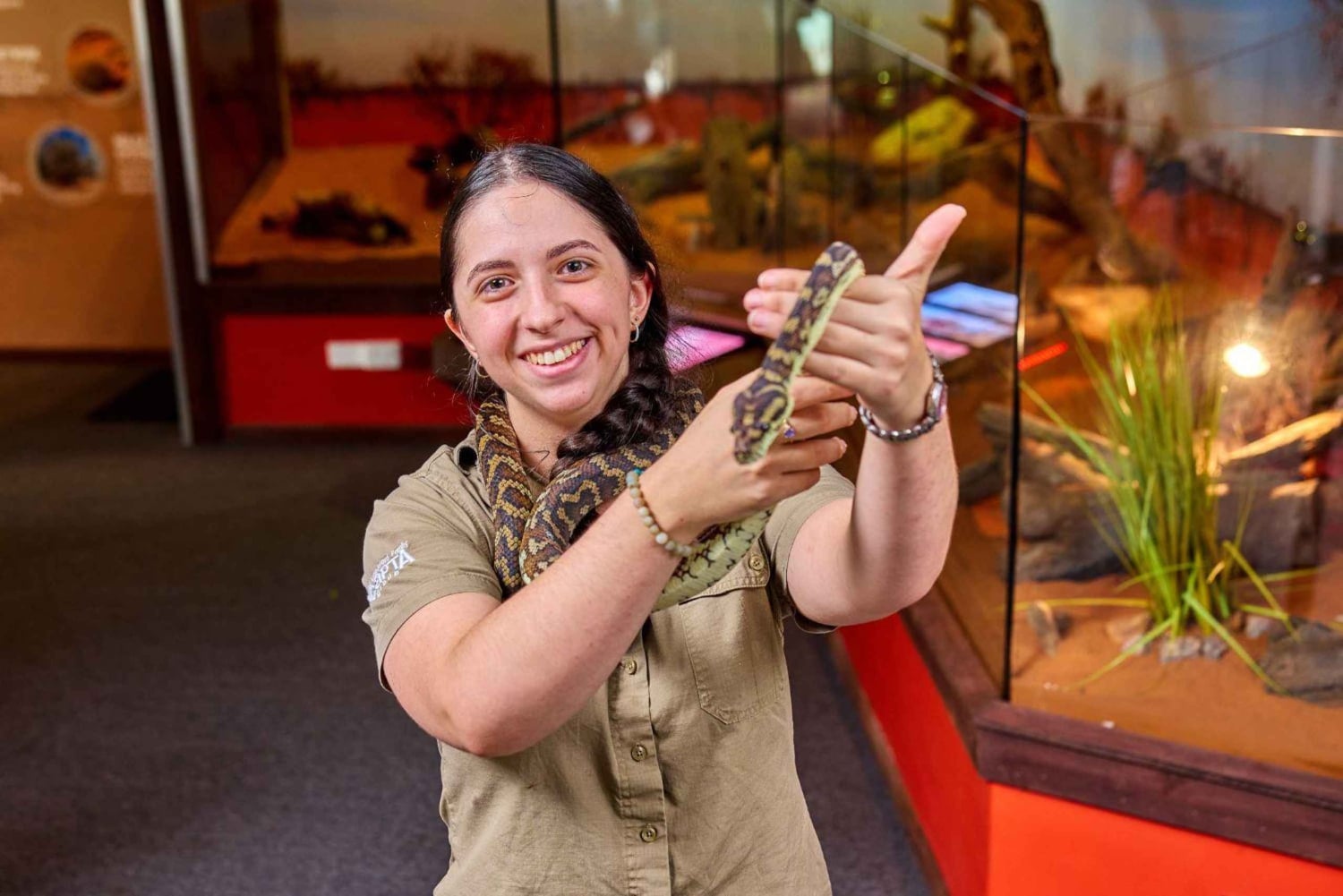 Ciudad de Cairns: Cairns Koala & Creatures + City Sights Tour