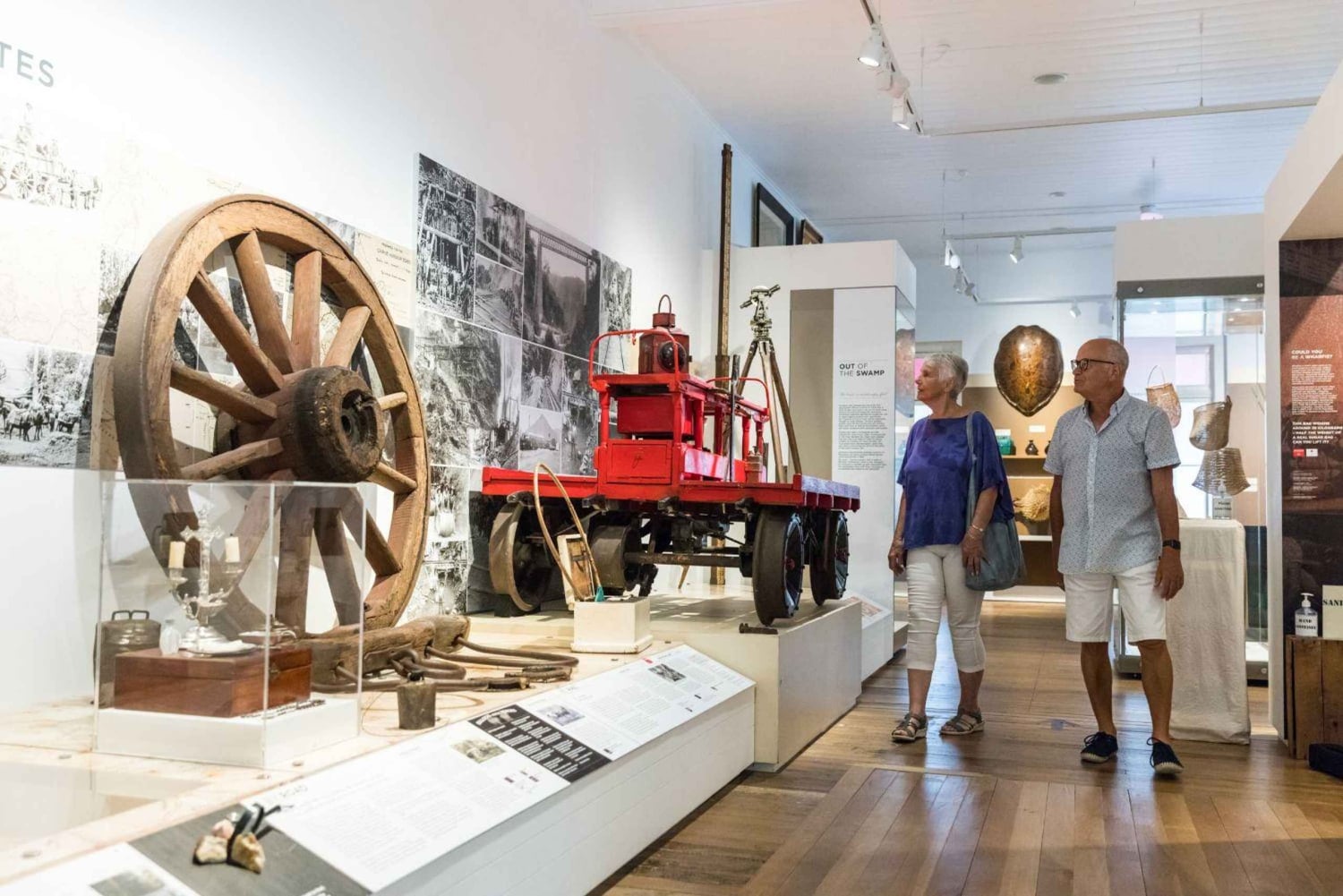 Ciudad de Cairns: Cairns Koala & Creatures + City Sights Tour