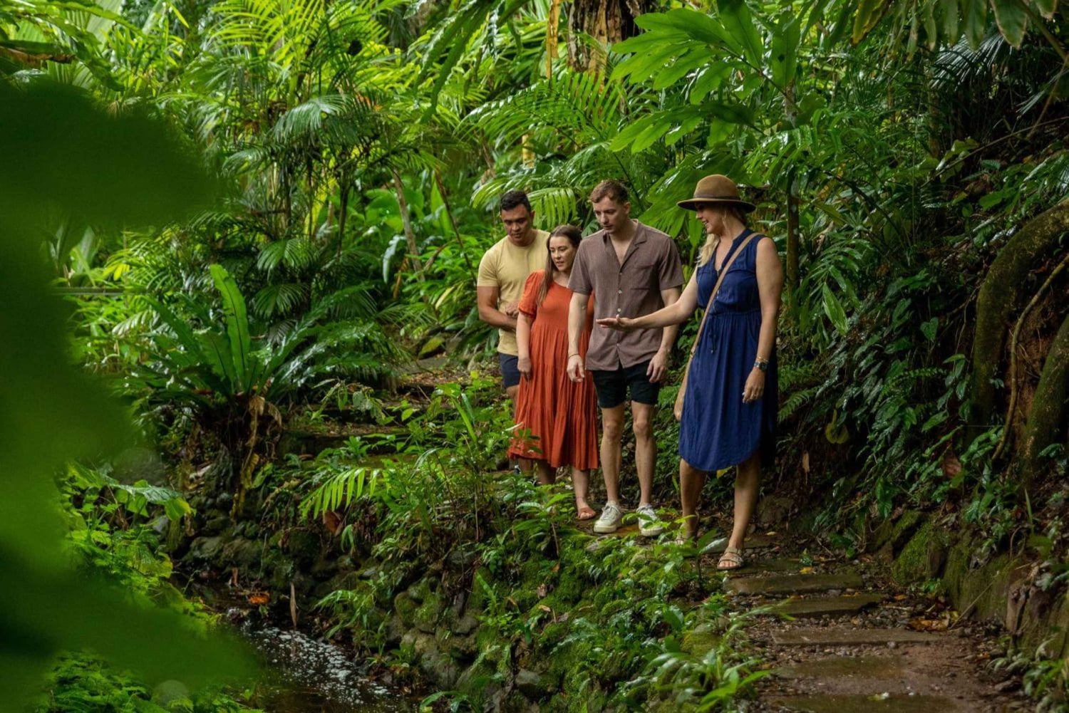 Ciudad de Cairns: Cairns Koala & Creatures + City Sights Tour