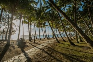 Cairns: stadsrondleiding met dinercruise in de avond