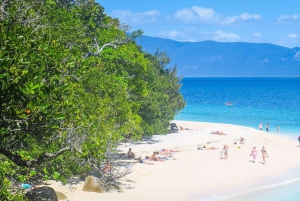 Cairns: CNS Airport to Cairns City Centre Private Transfer