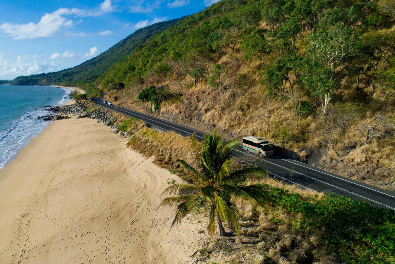 From Cairns: Daintree Rainforest & Cape Tribulation 4WD Tour