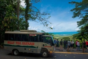 From Cairns: Daintree Rainforest & Cape Tribulation 4WD Tour