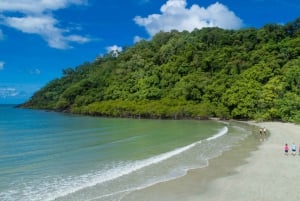 Cairns: Daintree & Cape Tribulation Guided 4WD Tour