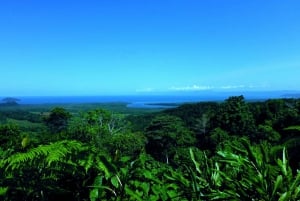 Cairns: jednodniowa wycieczka do Daintree, wąwozu Mossman i Cape Tribulation