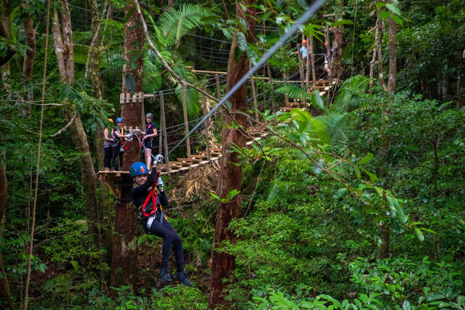 Rainforest-Ziplining-in-the-Daintree