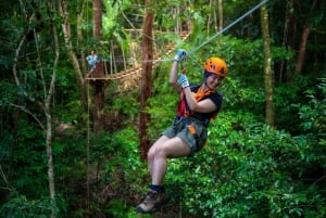 Cairns: Daintree Rainforest Canopy Ziplining Tour