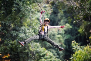 Cairns: Daintree Rainforest Canopy Ziplining Tour