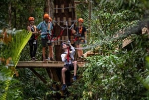 Cairns: Daintree Rainforest Canopy Ziplining Tour